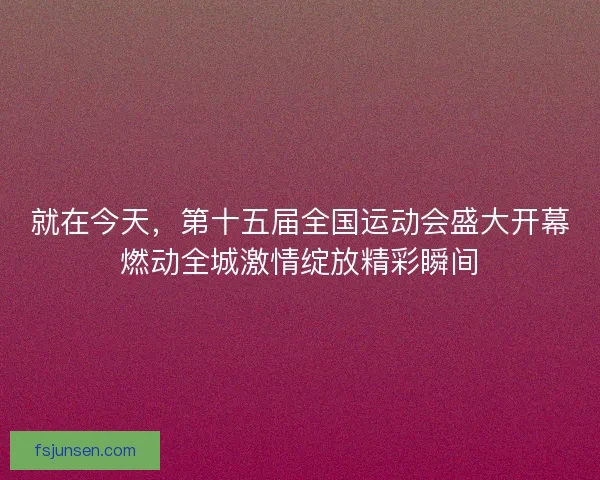 就在今天，第十五届全国运动会盛大开幕燃动全城激情绽放精彩瞬间